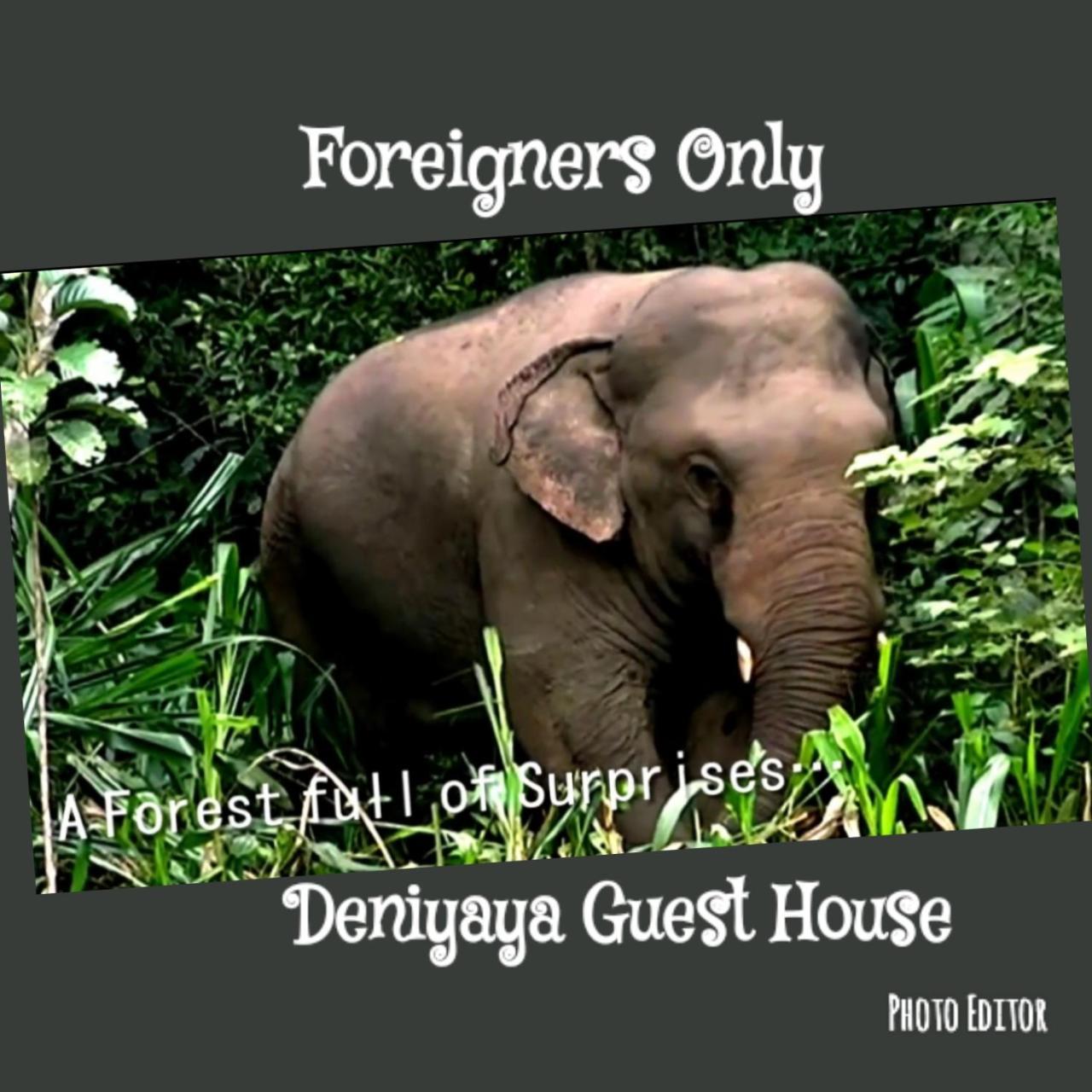 Deniyaya Guest House Exteriér fotografie